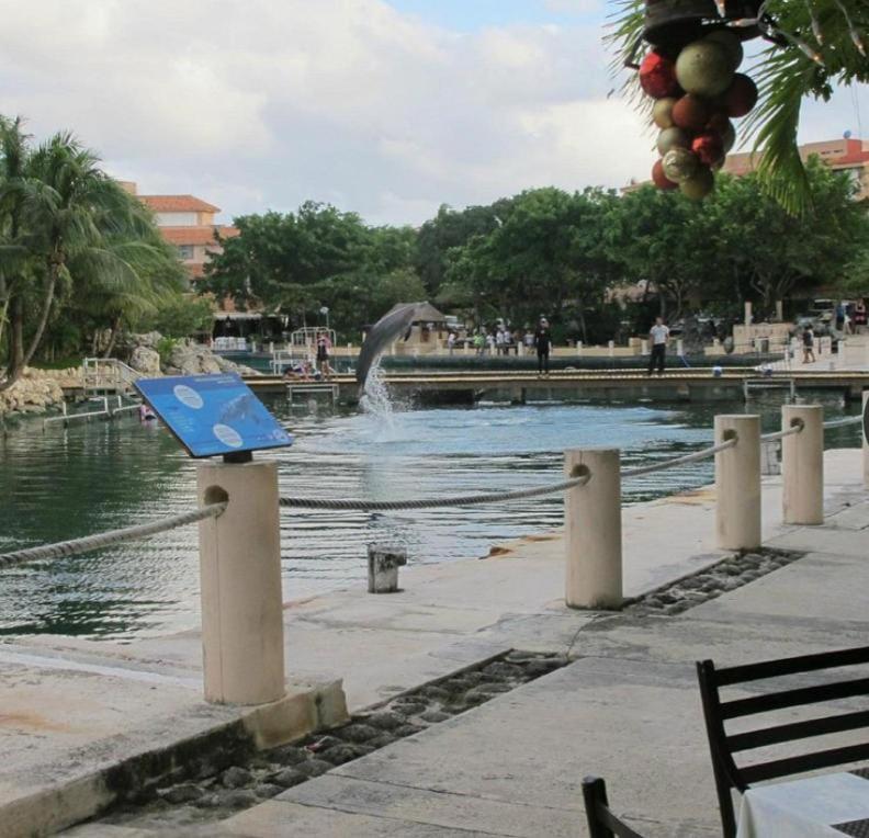Ferienwohnung Puerto Aventuras, Departamento A Unos Pasos De La Playa Exterior foto